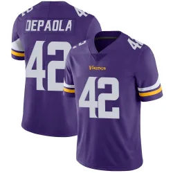 Youth Andrew DePaola Minnesota Vikings No.42 Limited Team Color Vapor Untouchable Jersey - Purple